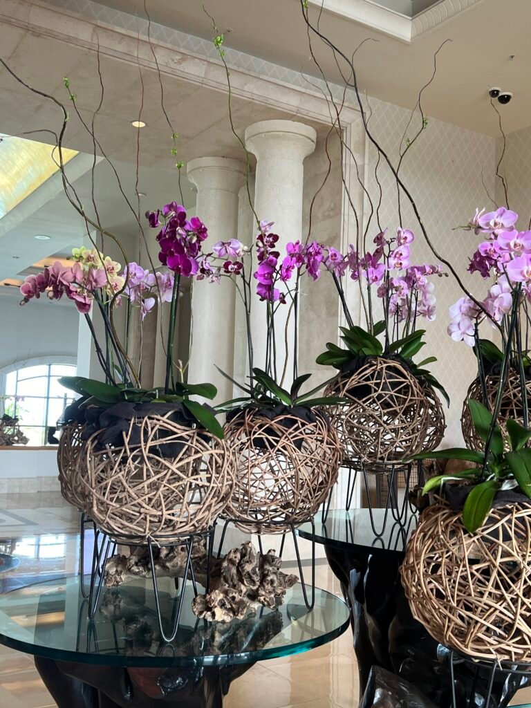 Karla Olivera Catering & Boutique