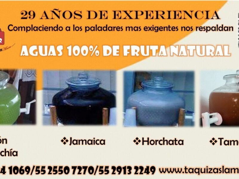 Taquizas LA MEJOR