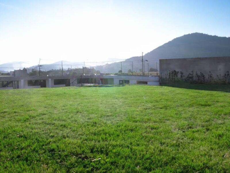 Jardín & Villas "Yami"