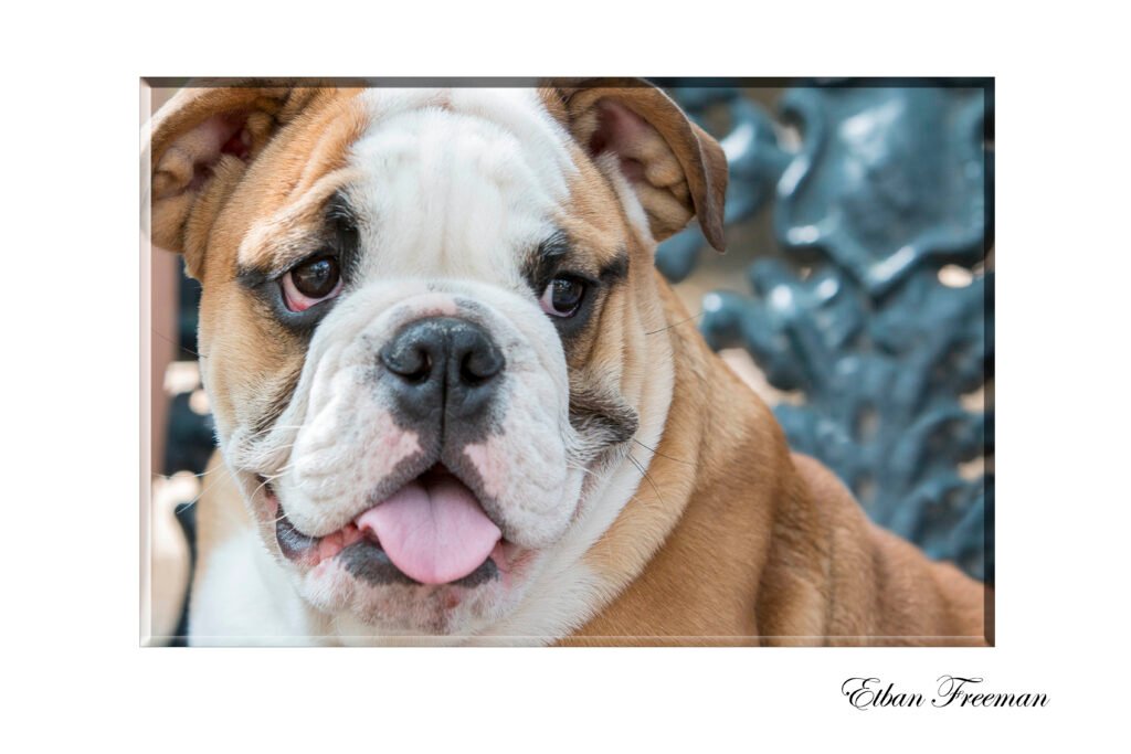 Etban Freeman Fotografía