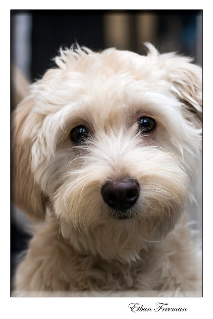 Etban Freeman Fotografía