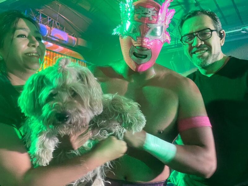 El Mundo De La Lucha Libre