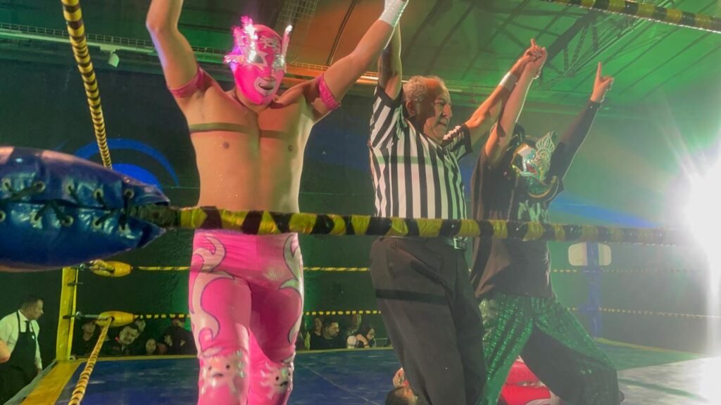 El Mundo De La Lucha Libre