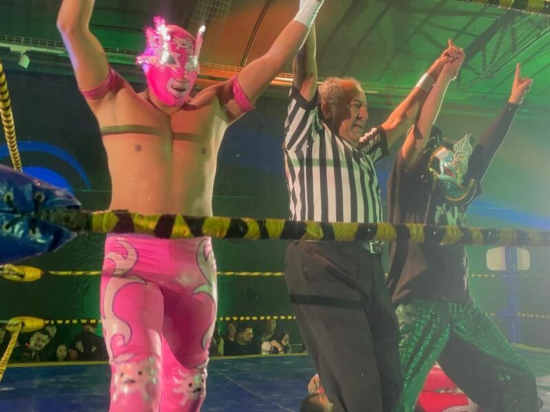 El Mundo De La Lucha Libre