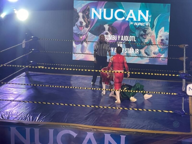 El Mundo De La Lucha Libre