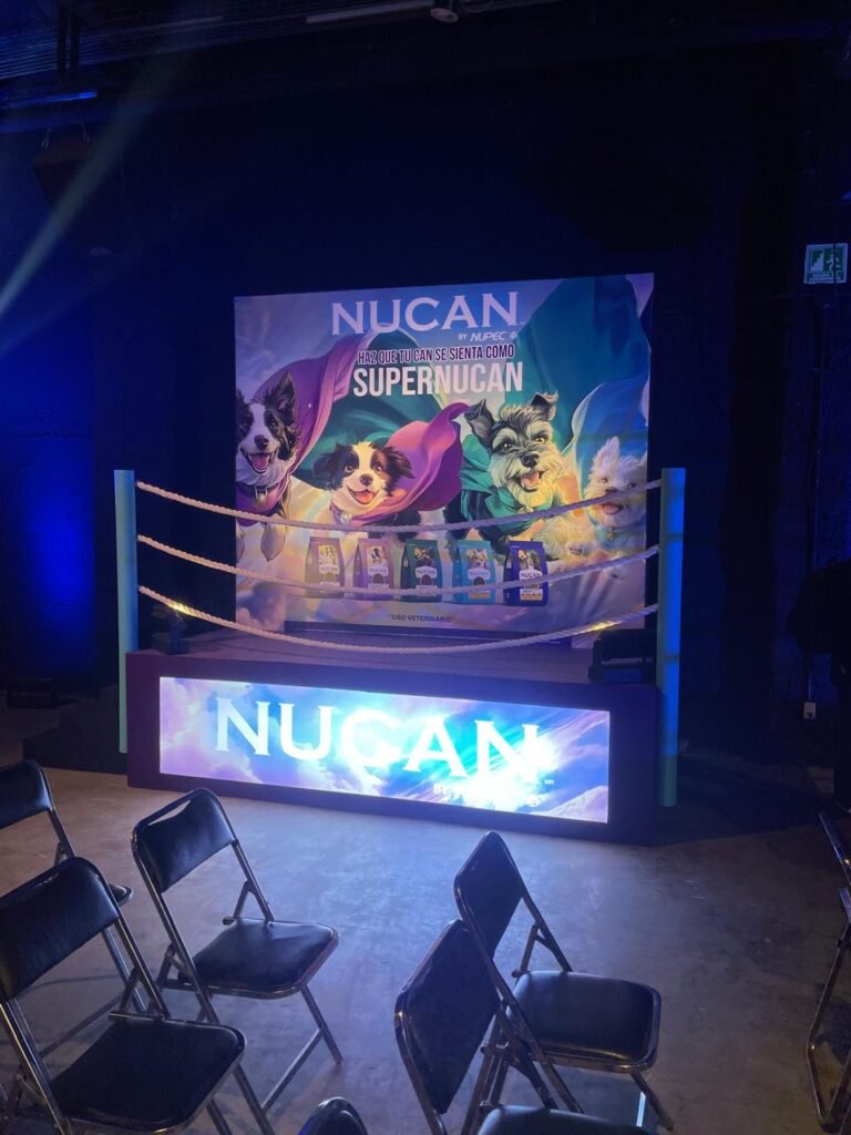 El Mundo De La Lucha Libre