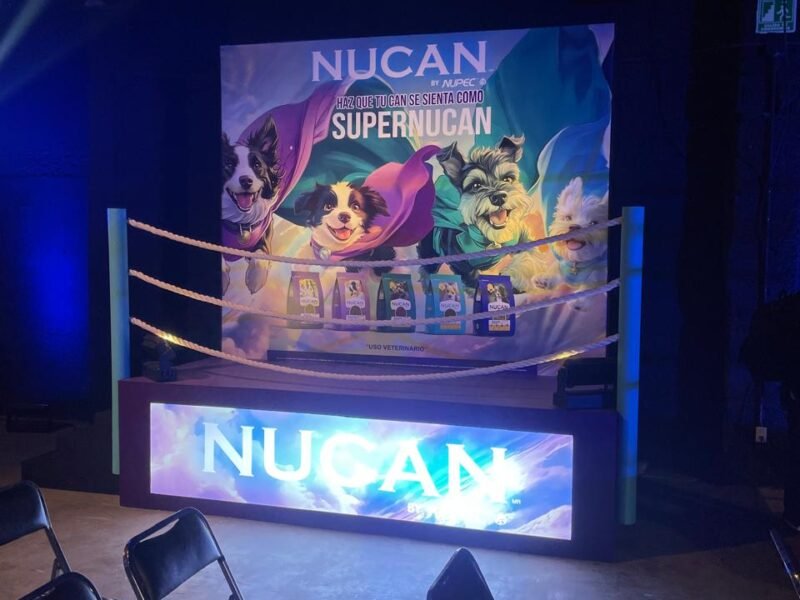 El Mundo De La Lucha Libre