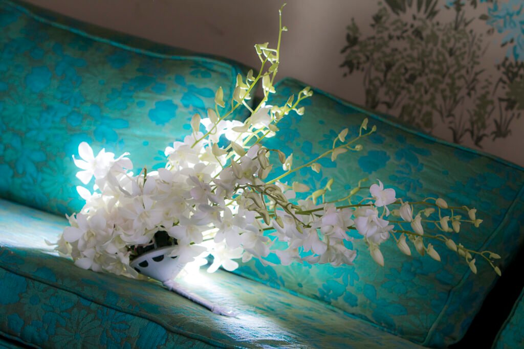 Etban Freeman Fotografía