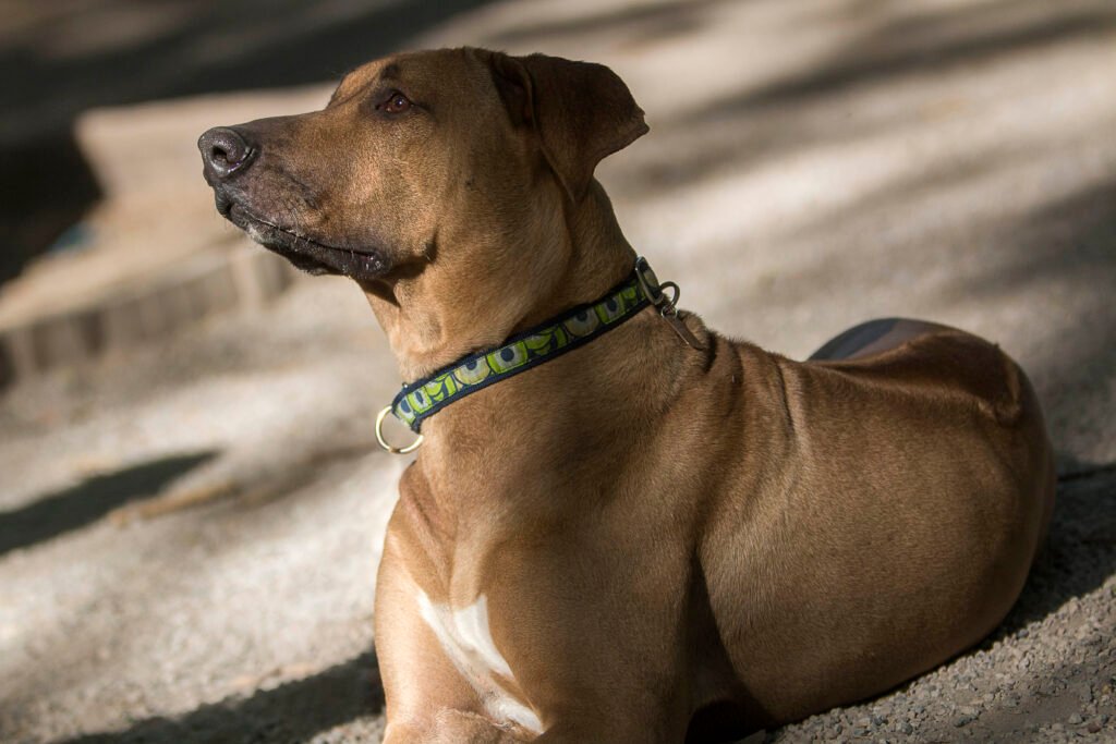 Etban Freeman Fotografía