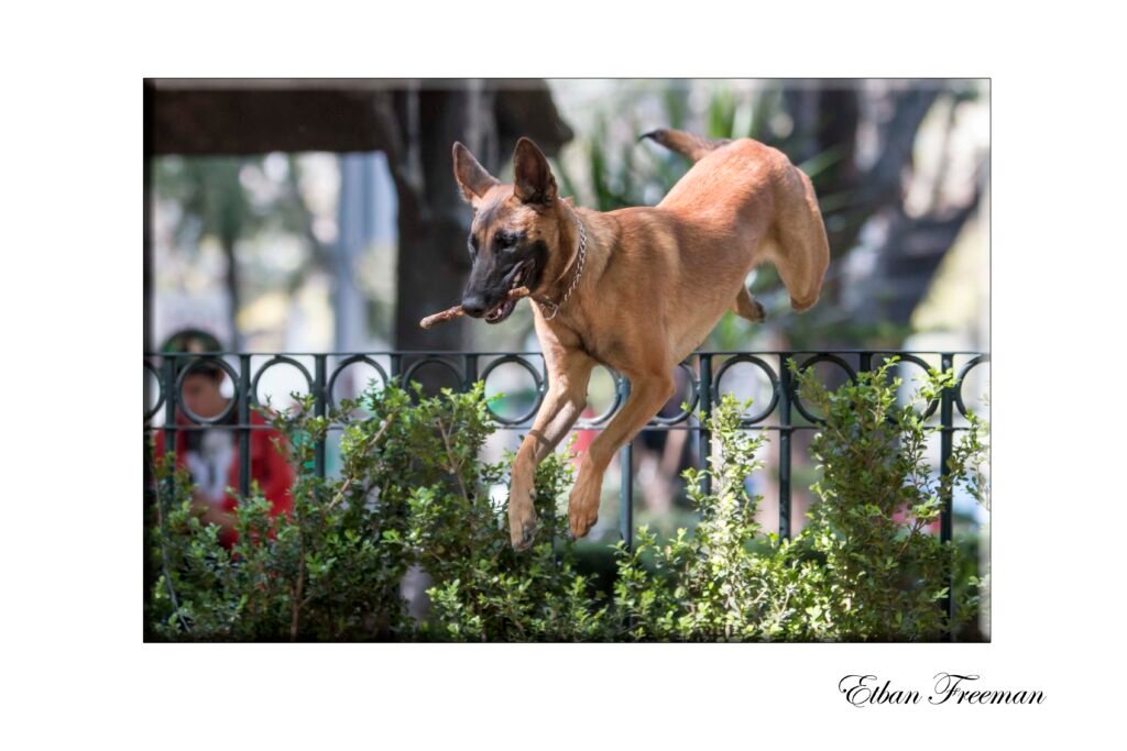 Etban Freeman Fotografía