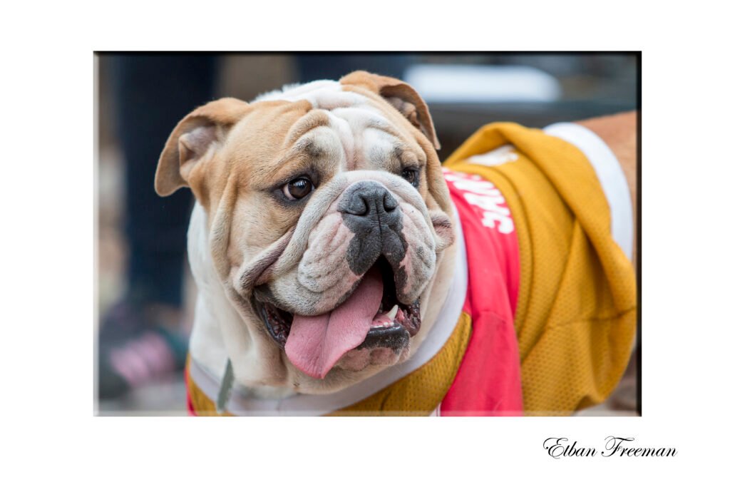 Etban Freeman Fotografía