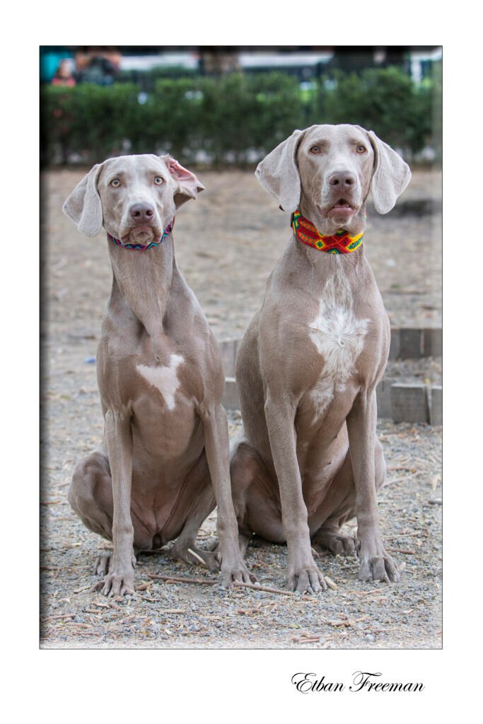 Etban Freeman Fotografía