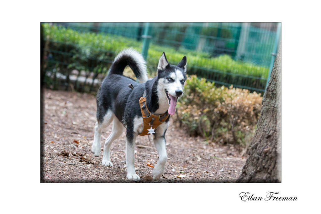 Etban Freeman Fotografía