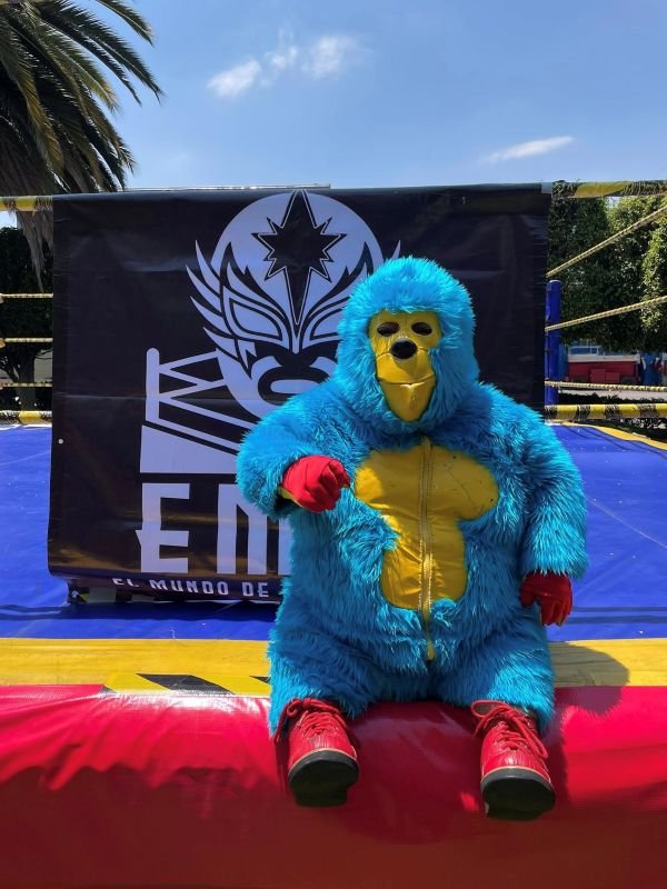 El Mundo De La Lucha Libre