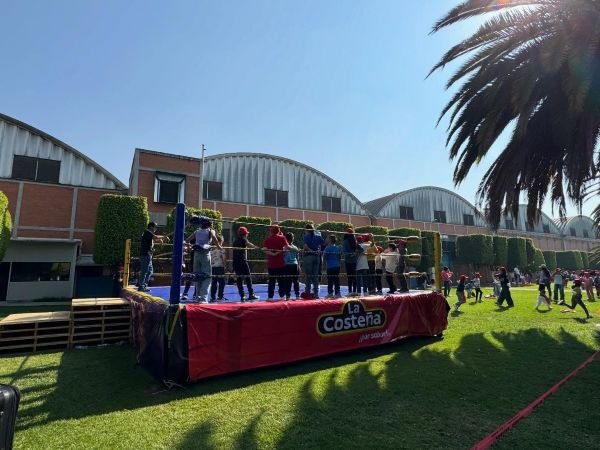 El Mundo De La Lucha Libre