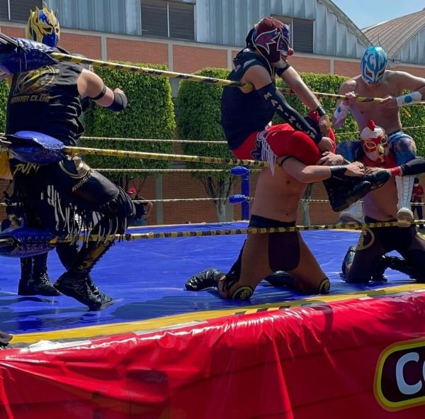 El Mundo De La Lucha Libre