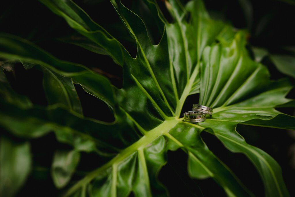 Erick Blanco - Fotógrafo