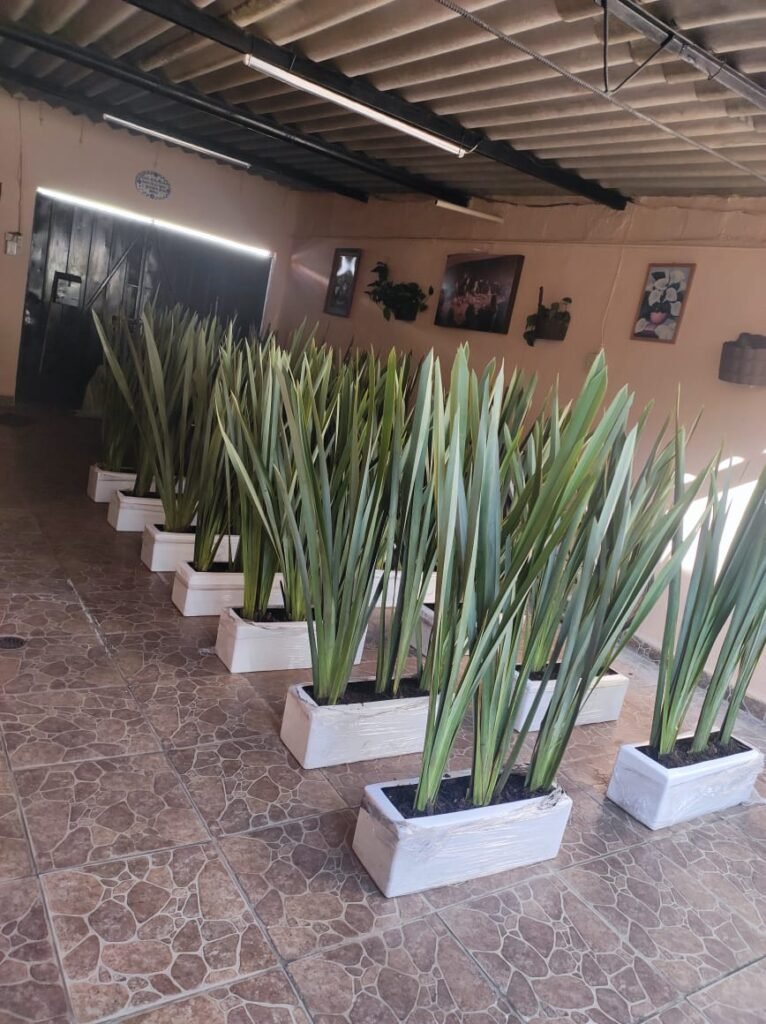 Montaña de Flores
