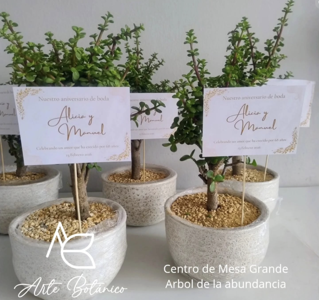 Arte Botánico