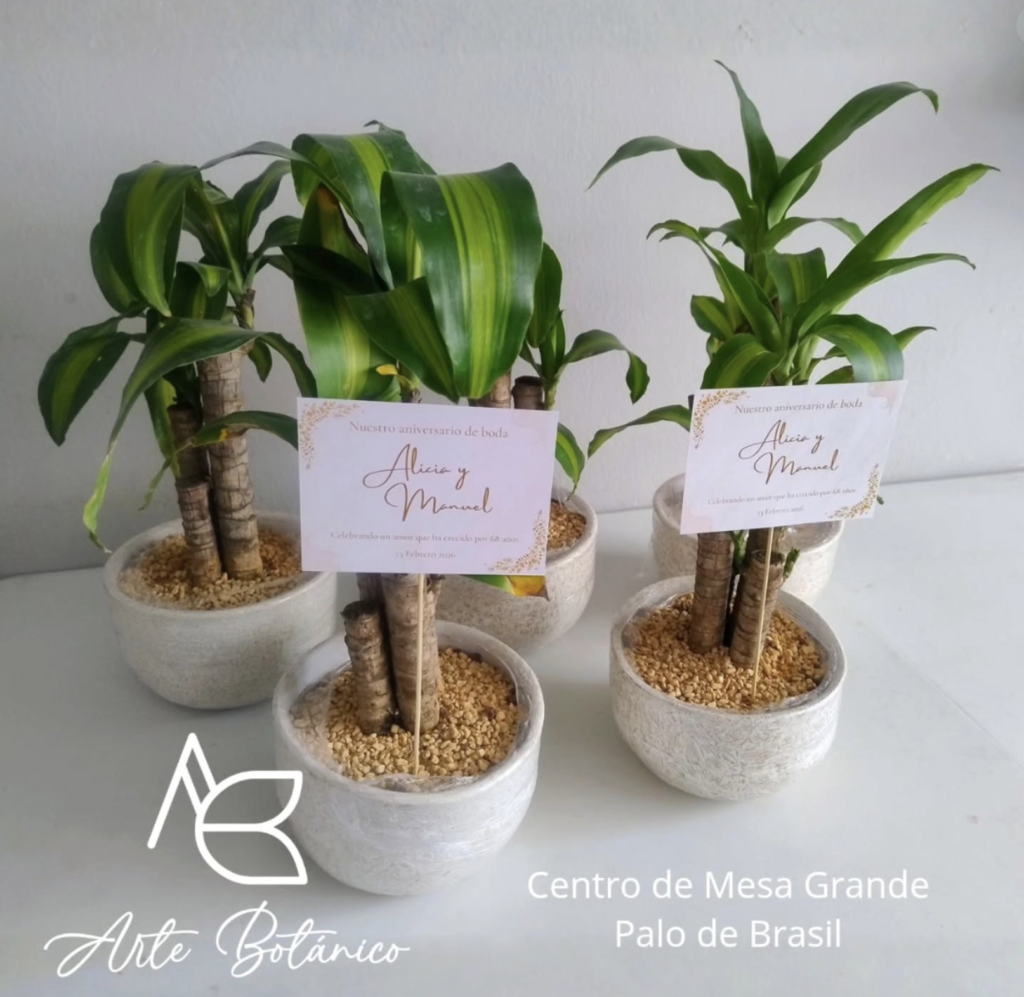 Arte Botánico