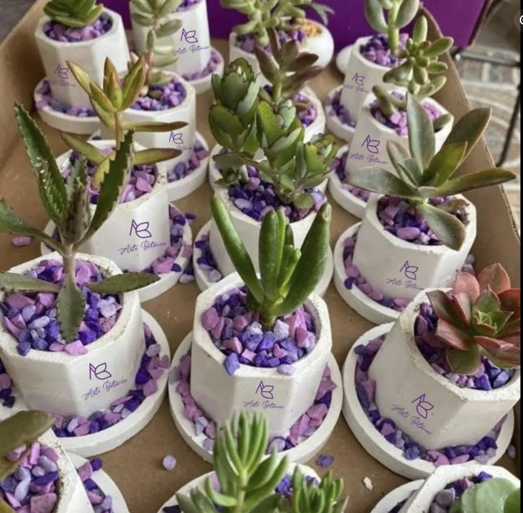 Arte Botánico