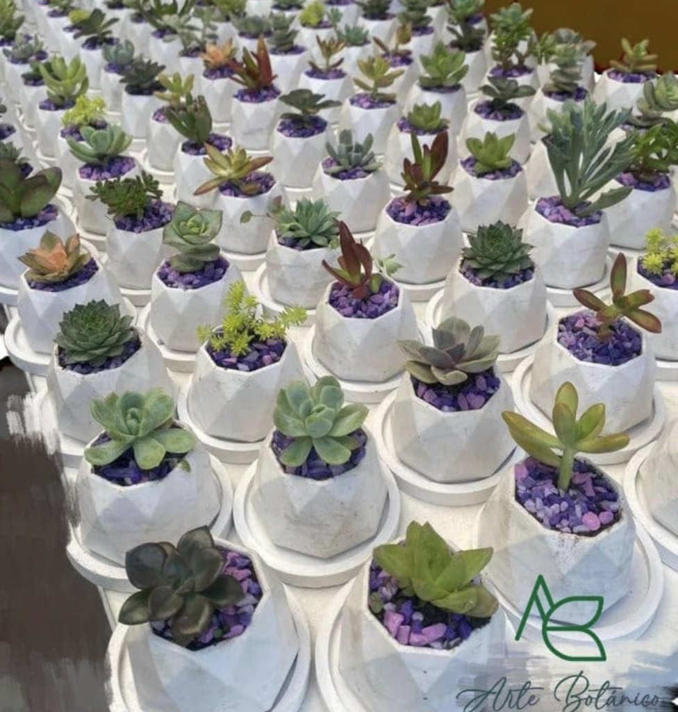 Arte Botánico