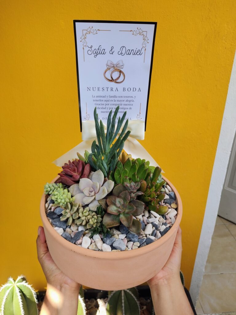 Tersa Recuerdos