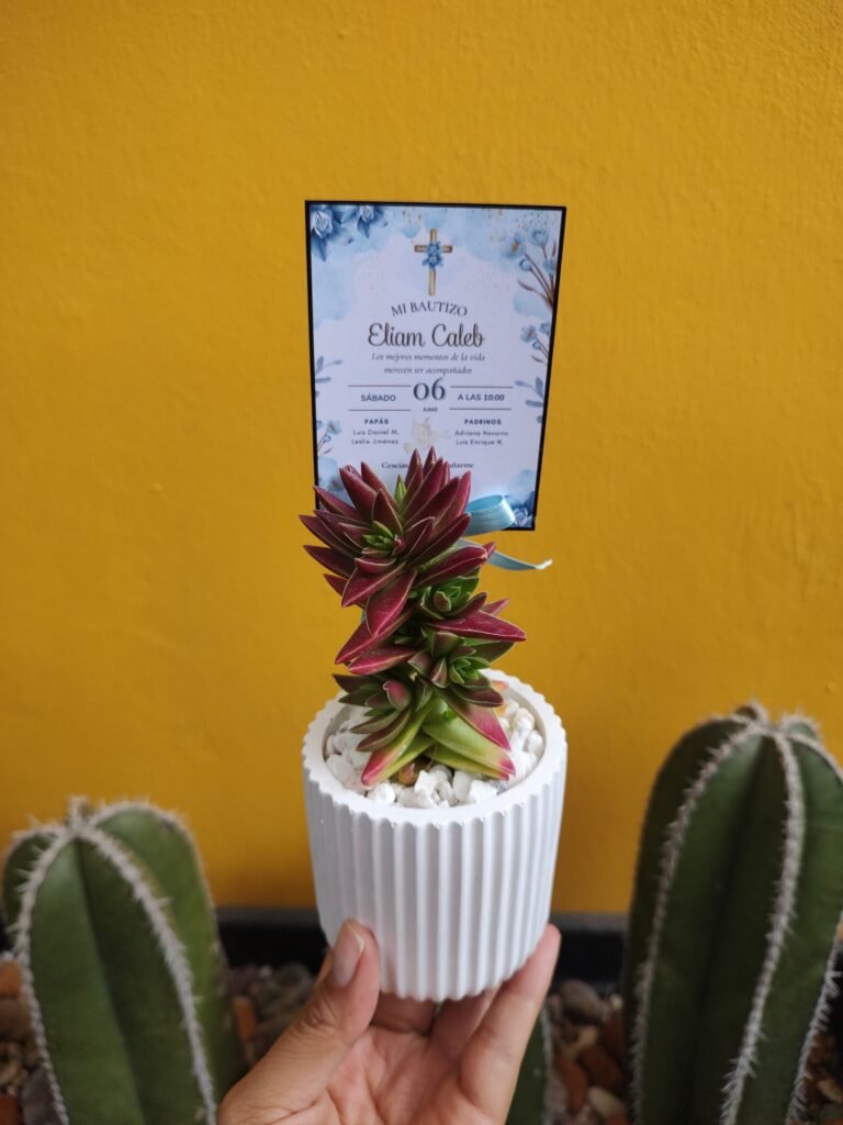 Tersa Recuerdos