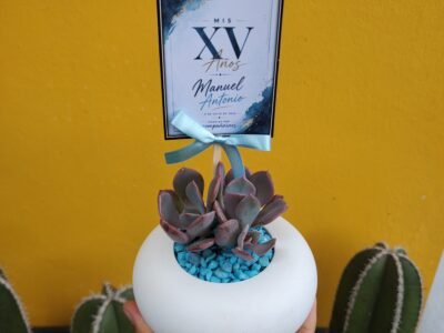 Tersa Recuerdos